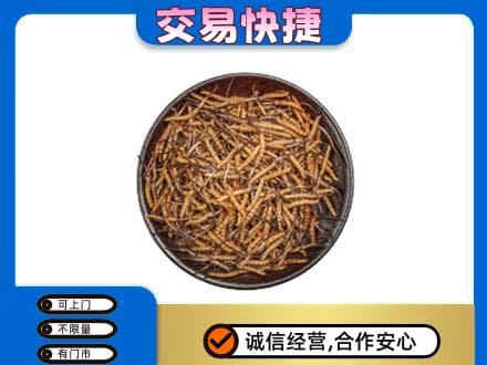 营口西市区回收散虫草